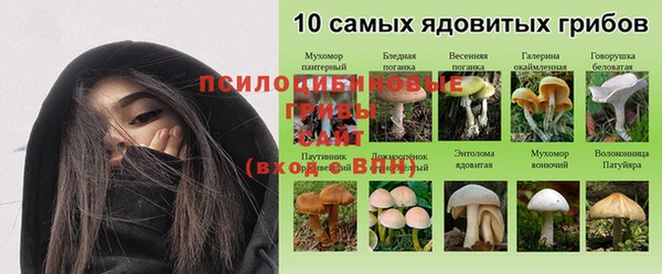 гидра Михайлов